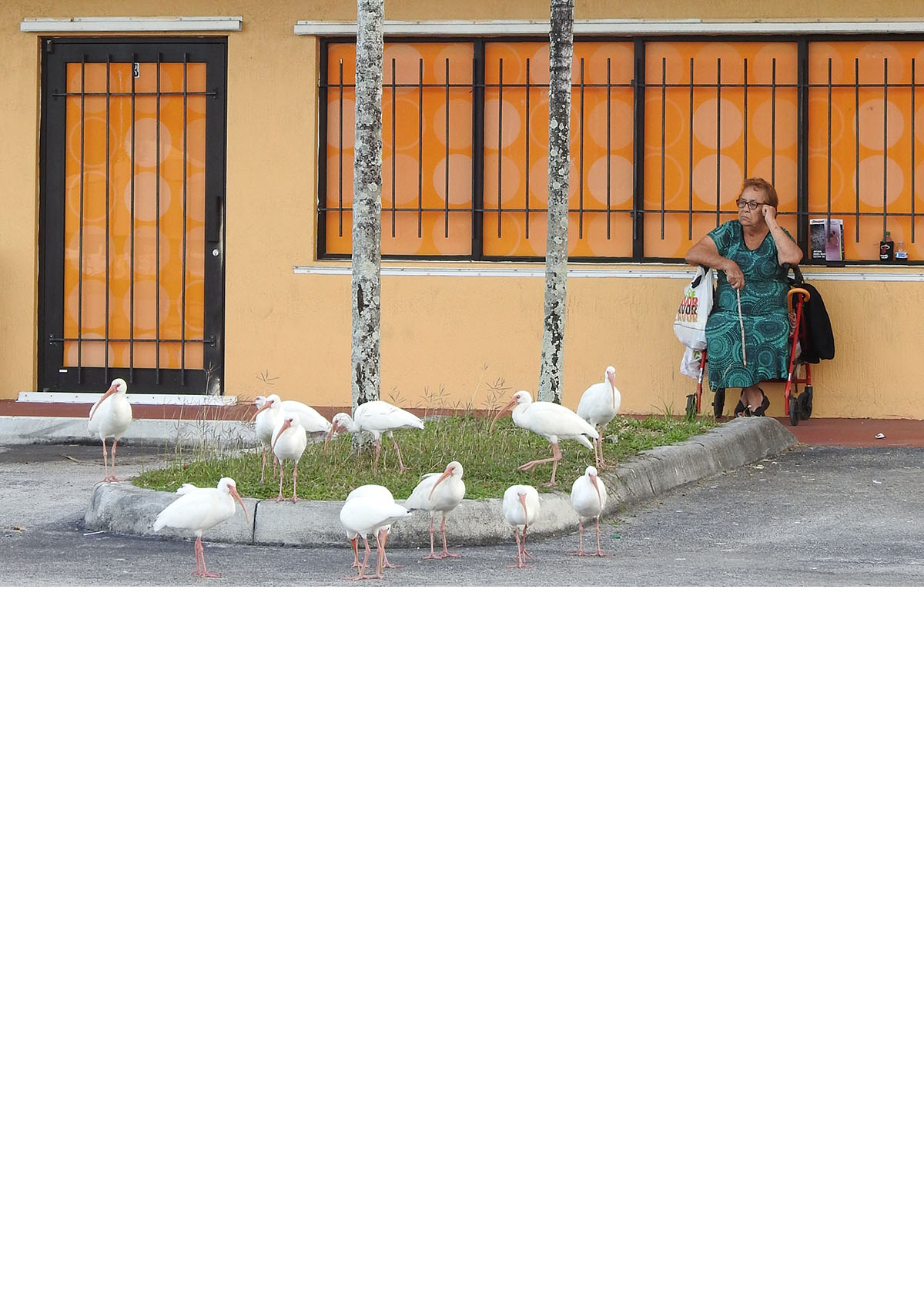 Woman with Ibis