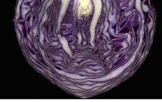 Beth Richardson, "Descent into Red Cabbage Hell"